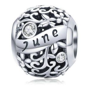 925?Silver June Birthstone Charm